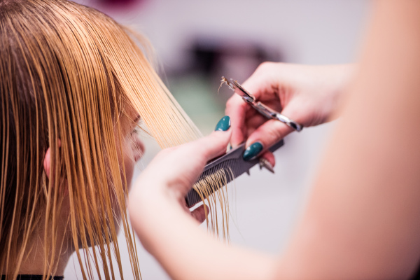 Hands of unrecognizable professional hairdresser cutting hair of her client, giving a new haircut to female customer.