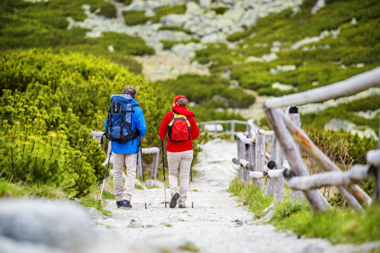 Beautiful senior couple of tourists in the mountains together, spring time.