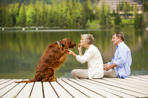 Beautiful senior couple of tourists in the mountains together, spring time.