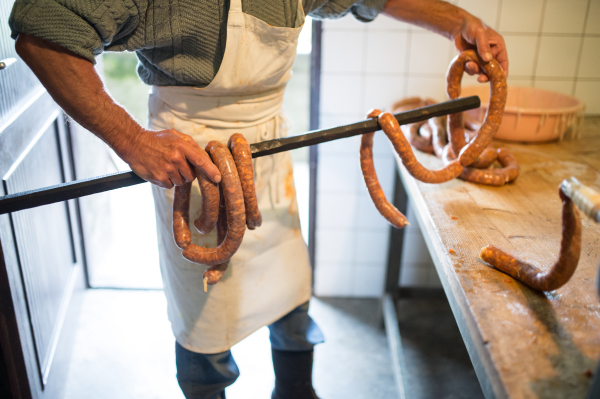 Unrecognizable man hanging homemade raw sausages on wooden stick, making them the traditional way. Close up.