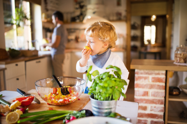 Unrecognizable young father with a toddler boy cooking. A man with his son making vegetable salad.