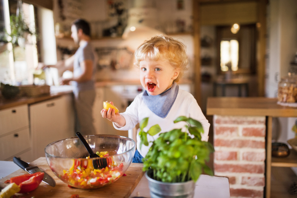 Unrecognizable young father with a toddler boy cooking. A man with his son making vegetable salad.