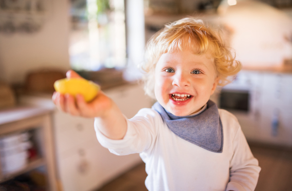 Toddler boy in the kitchen. A small boy standing on the chair, holding lemon.