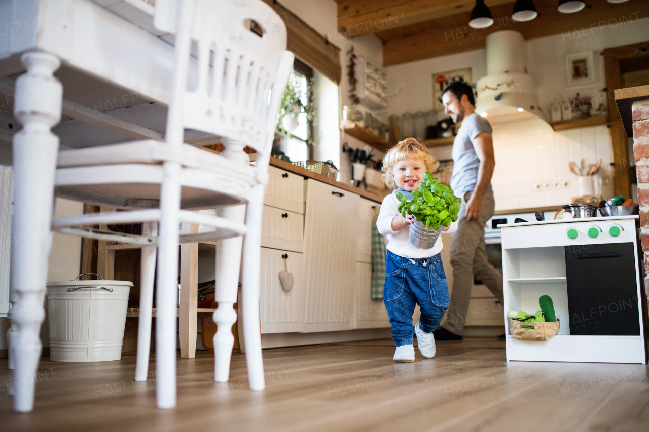 Young father with a toddler boy cooking. A man with his son making vegetable salad.