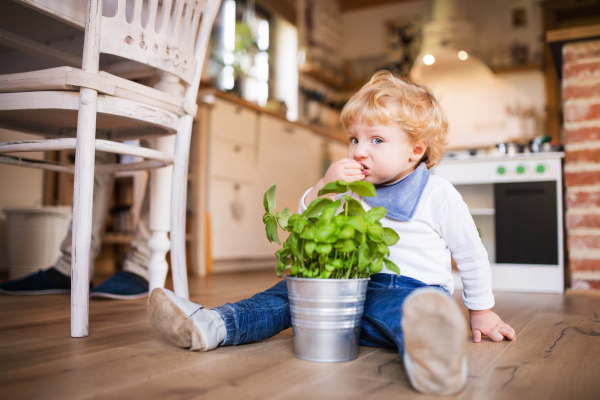 Young father with a toddler boy cooking. A man with his son making vegetable salad.