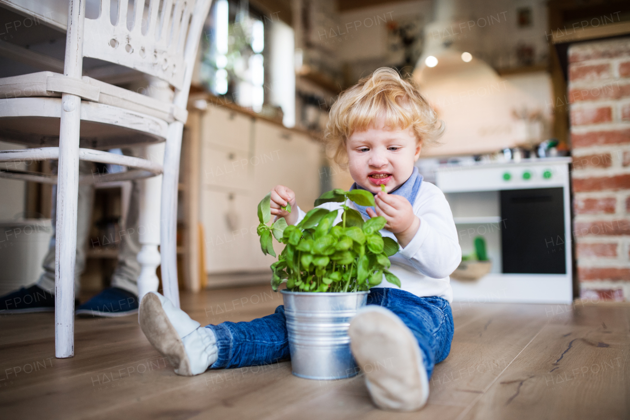 Young father with a toddler boy cooking. A man with his son making vegetable salad.