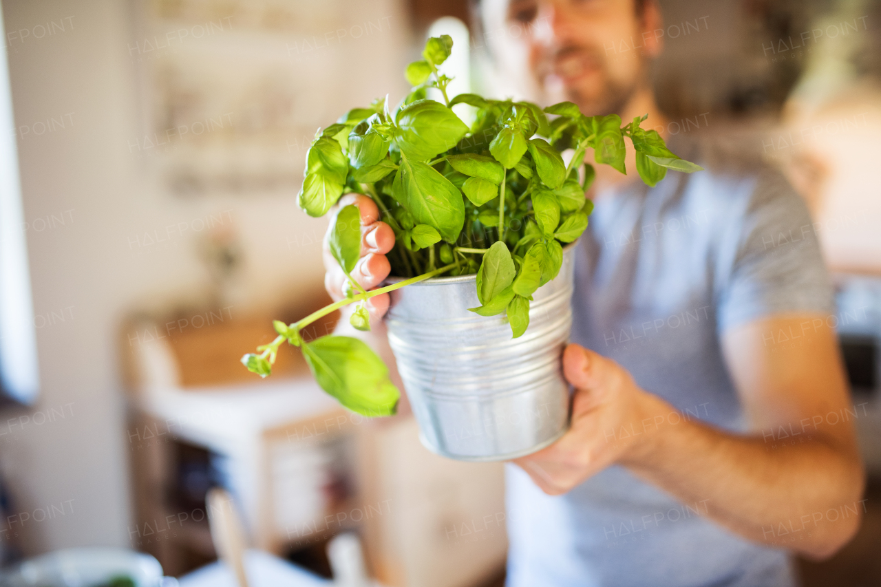 Unrecognizable young man cooking. A man holding a metal plant pot with herbs.