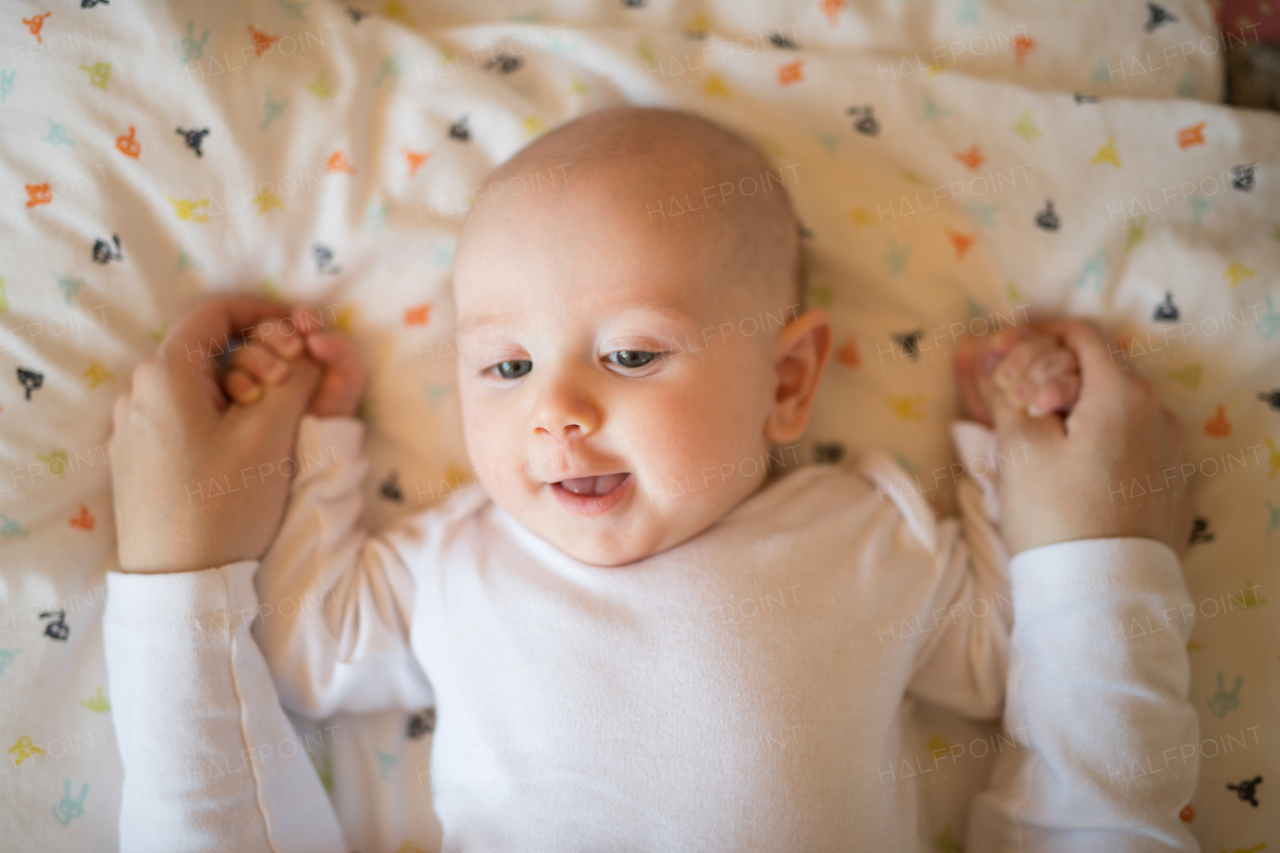 Unrecognizable mother holding hands of her cute baby son lying on a blanket.