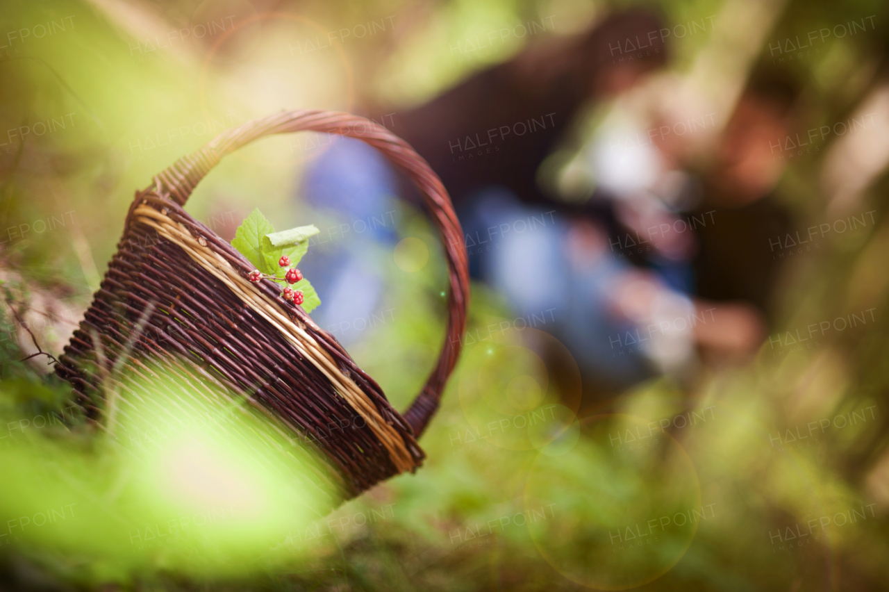 Happy young family spending time outdoor on a spring day.