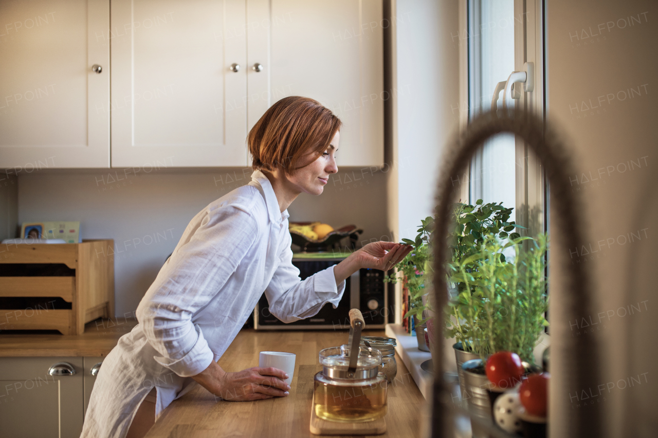 A young woman with cup of coffee standing indoors in kitchen, looking at plant on a window sill.