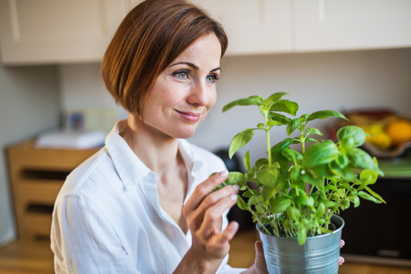 A portrait of happy young woman standing indoors in kitchen, holding a pot with herbs.