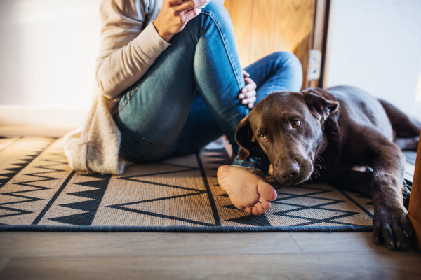 A midsection of barefoot young woman with a dog sitting indoors on the floor at home.