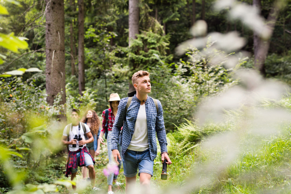 Teenagers with backpacks hiking in forest. Summer vacation adventure.