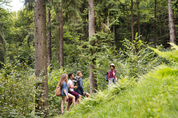 Teenagers with backpacks hiking in forest. Summer vacation adventure.