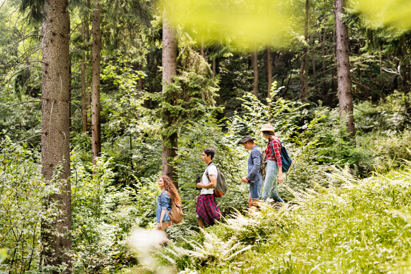 Teenagers with backpacks hiking in forest. Summer vacation adventure.