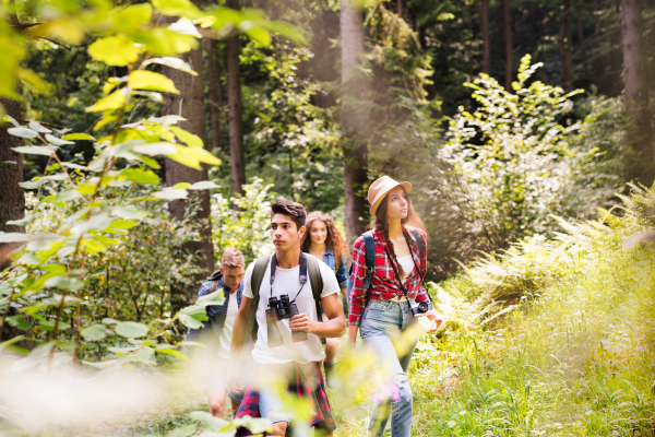 Teenagers with backpacks hiking in forest. Summer vacation adventure.