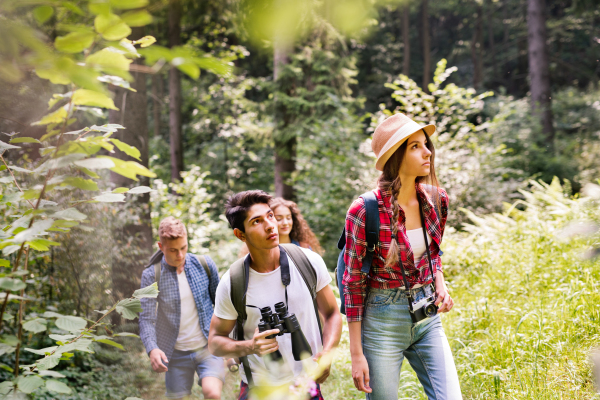 Teenagers with backpacks hiking in forest. Summer vacation adventure.