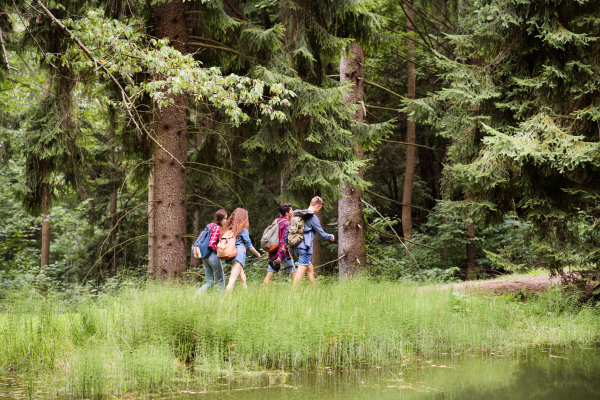 Teenagers with backpacks hiking in forest. Summer vacation adventure.