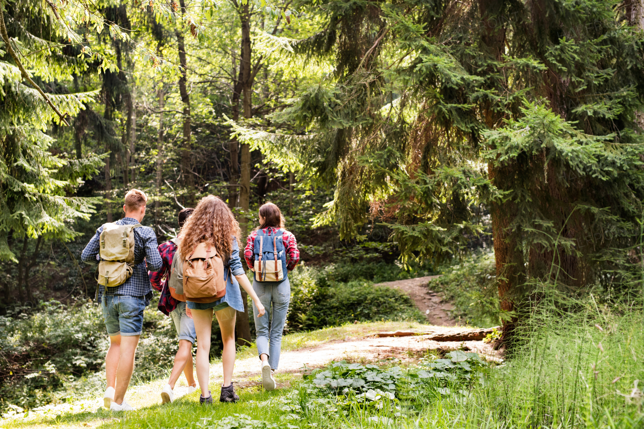 Teenagers with backpacks hiking in forest. Summer vacation adventure.