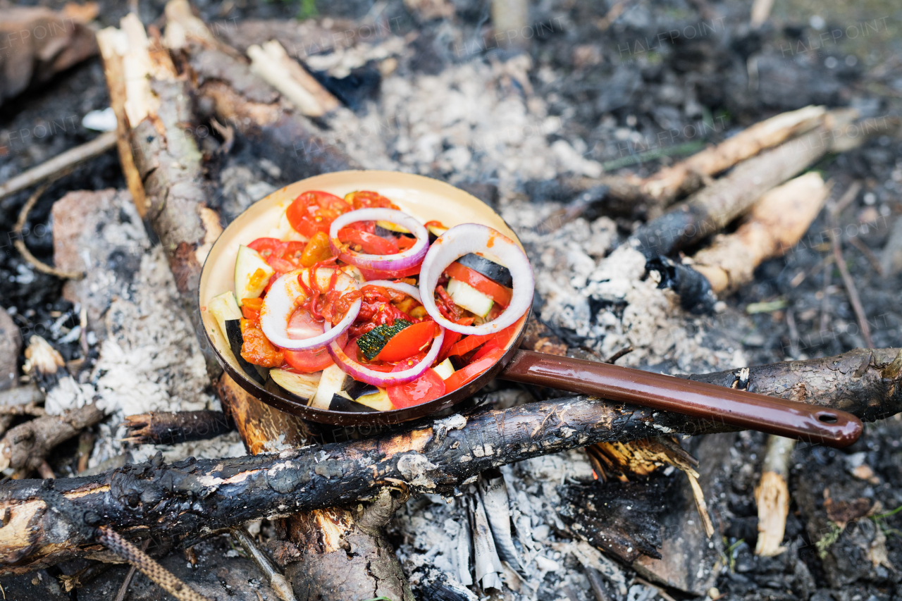 Cooking food on an open fire in nature. Vegetables on a frying pan.