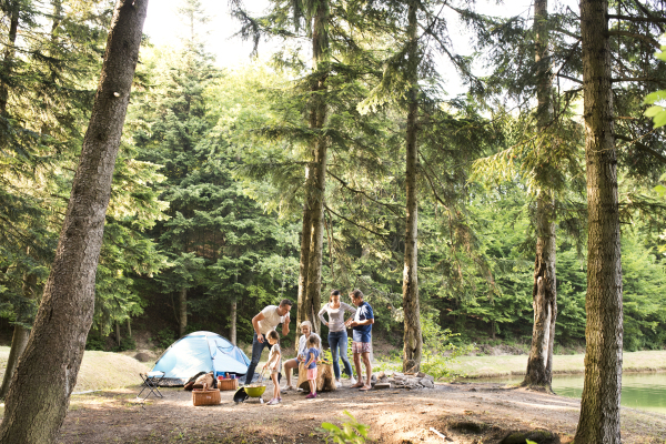 Beautiful family enjoying camping holiday in forest.