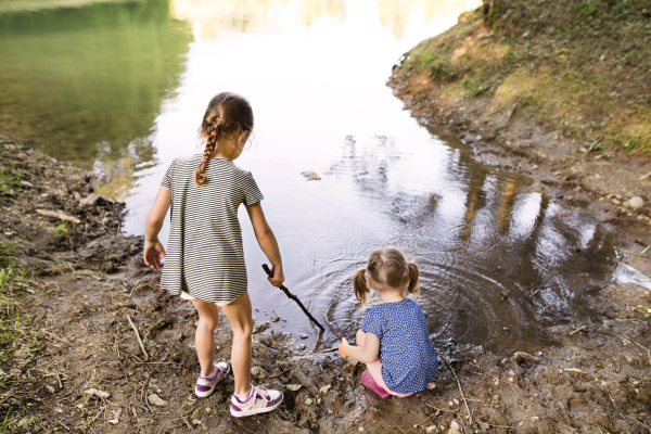 Cute little girls standing in the the lake playing. Summer heat and water. Rear view.