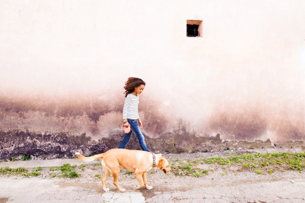 Beautiful african american girl with curly hair outdoors with her cute dog against old concrete wall.