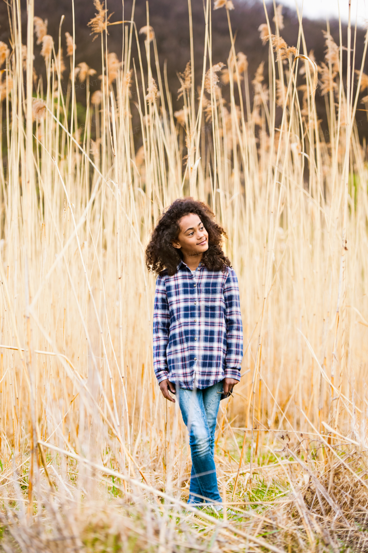 Beautiful african american girl with curly hair in checked shirt outdoors in field.