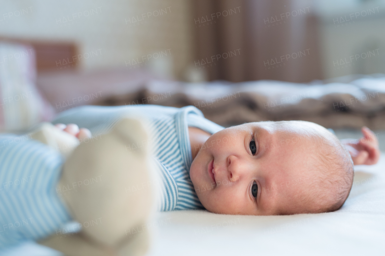 Cute newborn baby boy in blue striped onesie lying on bed, teddy bear toy next to him