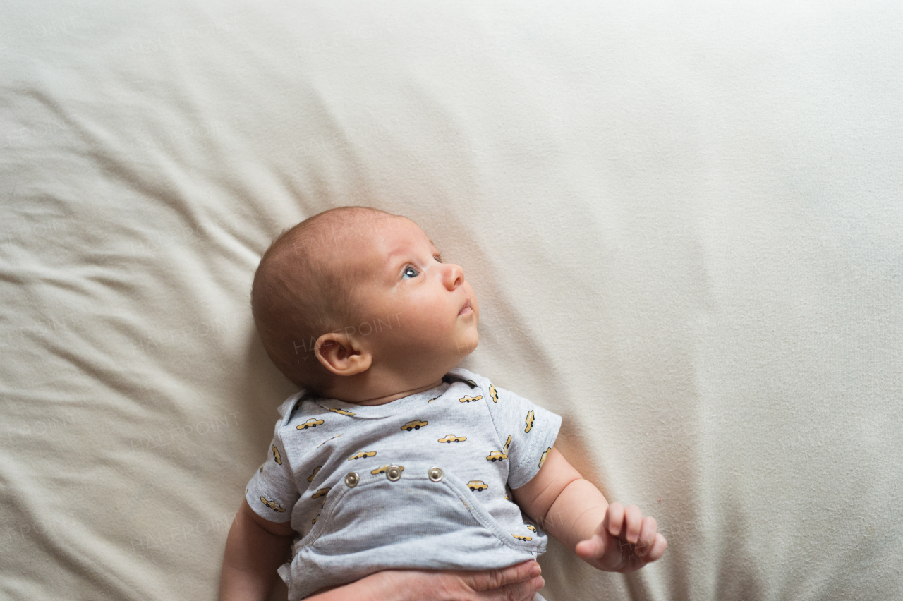 Cute newborn baby boy lying on bed, looking up, close up