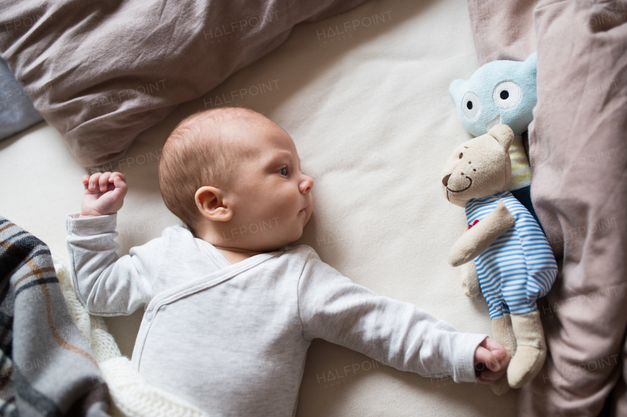 Cute newborn baby boy in gray onesie lying on bed, teddy bear toy next to him