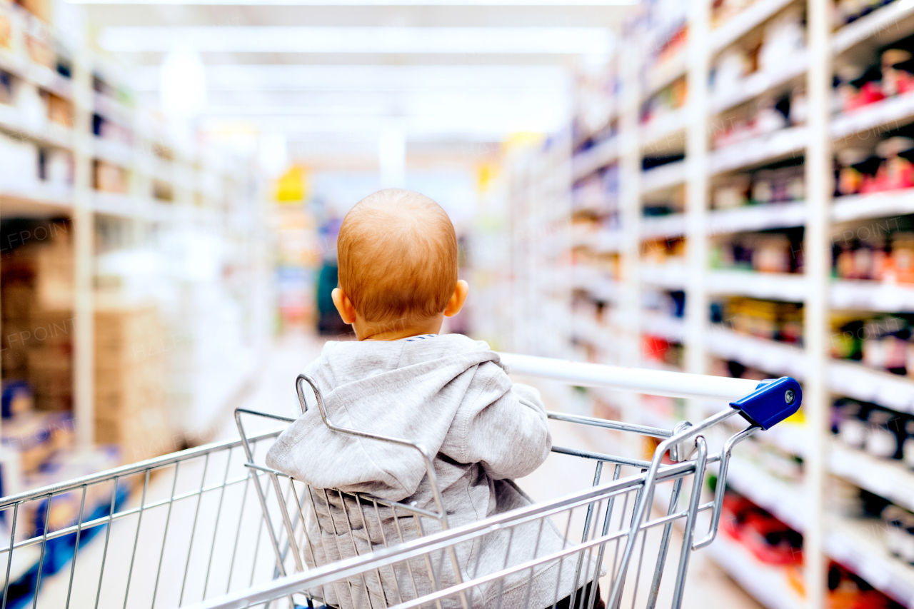 Cute little baby at the supermarket. Baby sitting in the shopping trolley. Rear view.