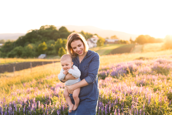 Beautiful young mother holding her little baby son in the arms outdoors in nature in lavender field.