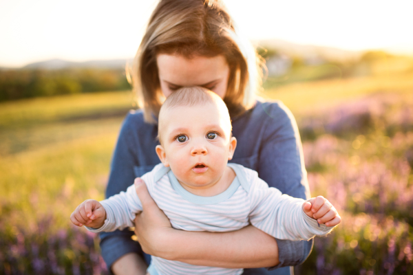 Beautiful young mother holding her little baby son in the arms outdoors in nature in lavender field.