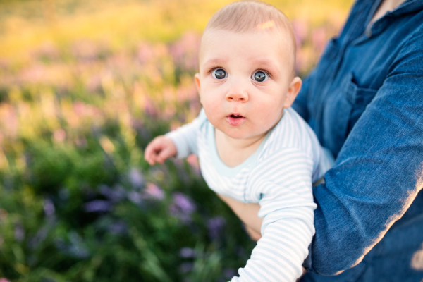 Unrecognizable young mother holding her little baby son in the arms outdoors in nature in lavender field.