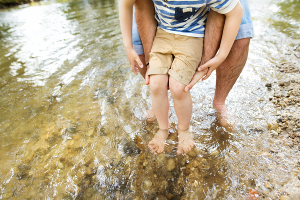 Legs of unrecognizable young father and his little boy in the river having fun, sunny spring day.