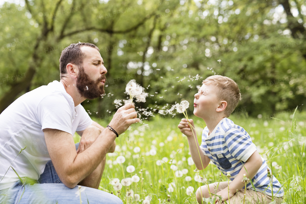 Young father with little boy outside having fun, sunny spring day.