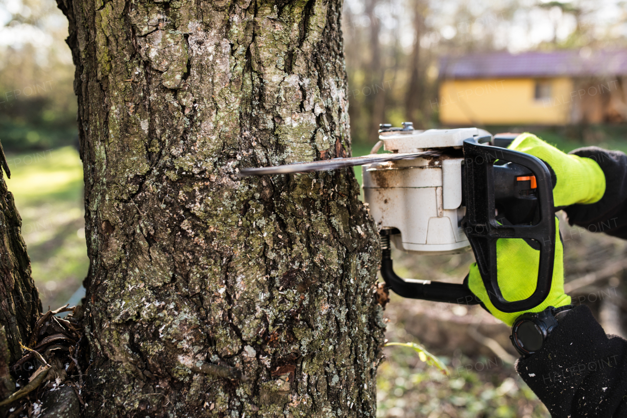 Close up. Hands of unrecognizable lumberjack with chainsaw cutting a tree.