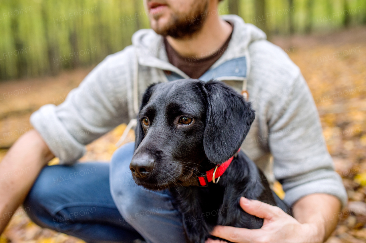 Unrecognizable young hipster man with his black dog in autumn forest