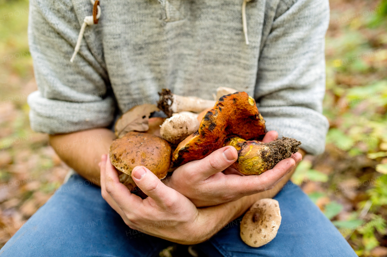 Unrecognizable man in autumn forest holding mushoom in his arms