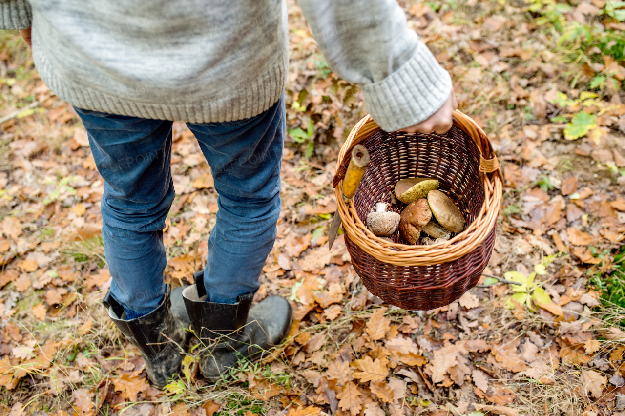 Unrecognizable man holding wicker basket with mushrooms in autumn forest