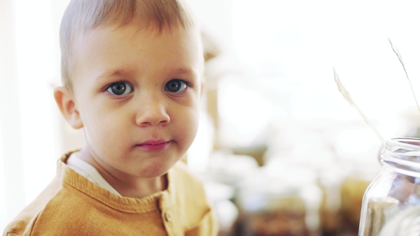 A close-up of small toddler boy eating biscuit in zero waste shop. Slow motion.