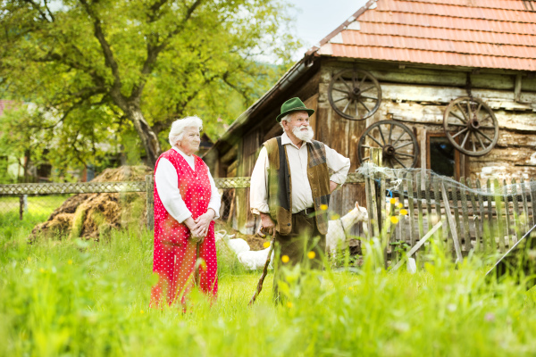 Old couple of seniors in the garden, sunny day.