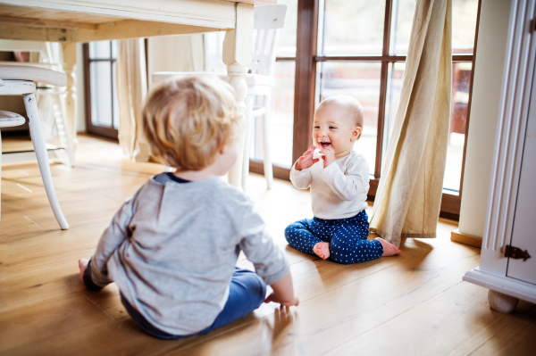 Two cute toddler children playing at home.