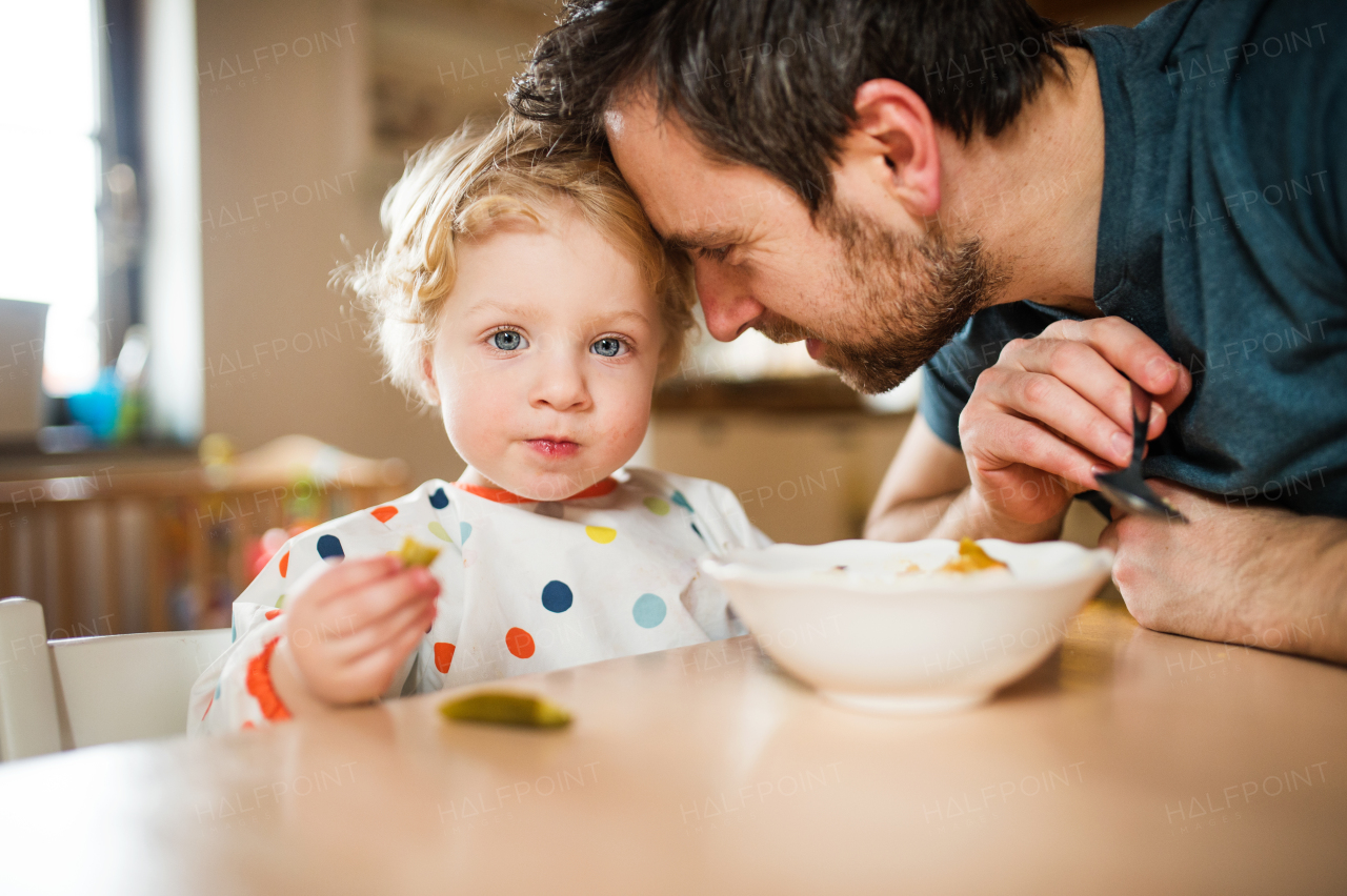 Father feeding a toddler boy at home. Paternity leave.