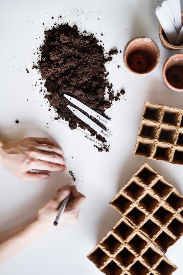 Planting seeds composition. Female hands writing on a white plastic plant labels. Top view.