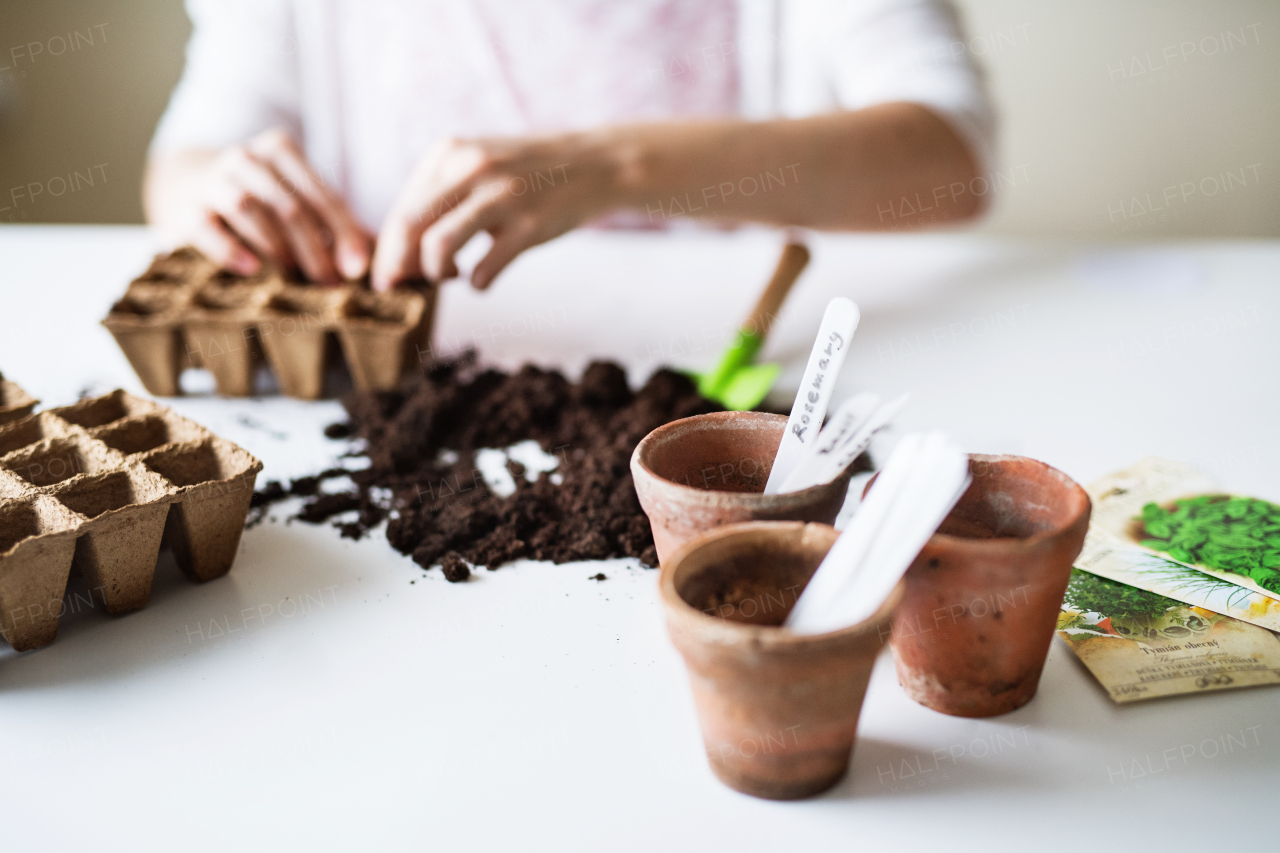 Unrecognizable young woman planting seeds at home.