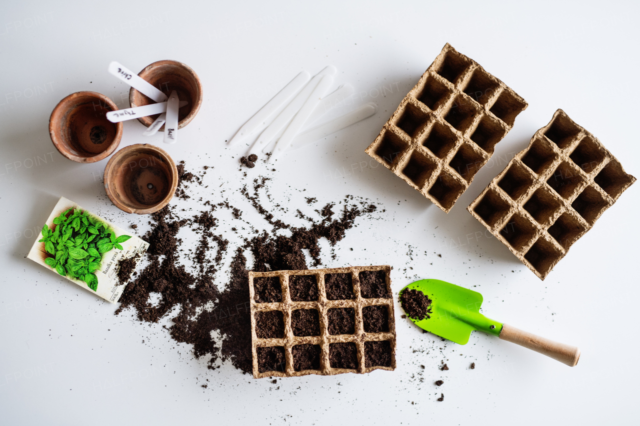 Spring and planting seeds flat lay. Gardening composition. Top view.