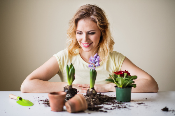 Beautiful young woman planting flower seedlings at home.