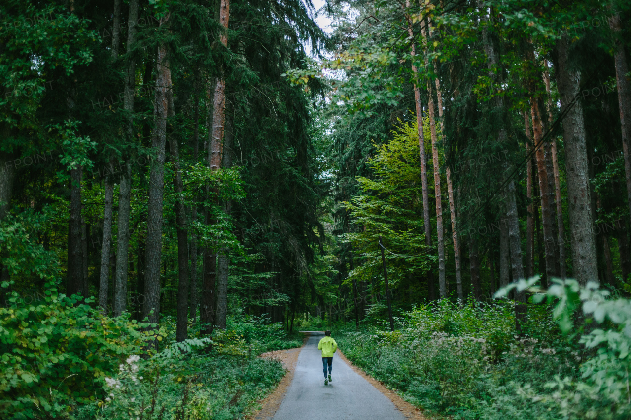 Man running and exercising for trail run on a path in old green forest.